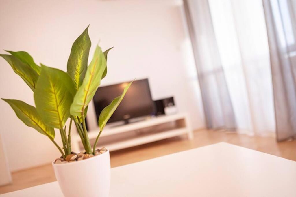 Sea City View W/ 2Bd 1Bt Free Street Parking Ριέκα Εξωτερικό φωτογραφία